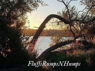FluffsRumpsNHumps Partouze