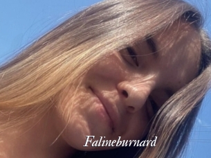 Falineburnard