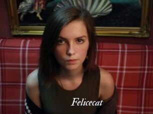 Felicecat