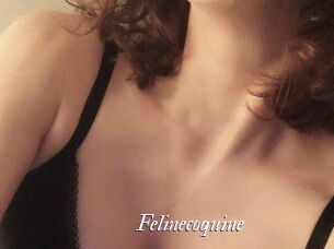 Felinecoquine