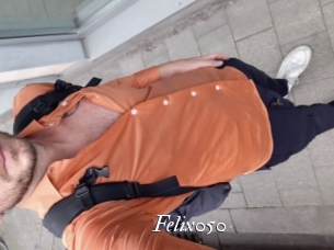 Felix050