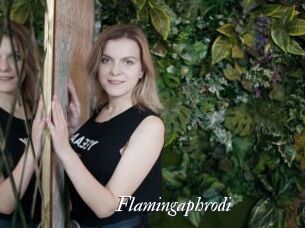 Flamingaphrodi