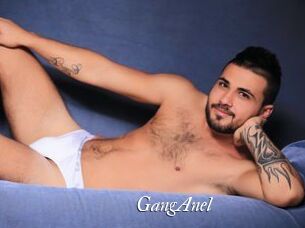 GangAnel