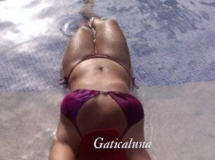 Gaticaluna