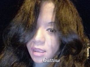 Gattina