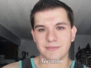 Gaymeboi