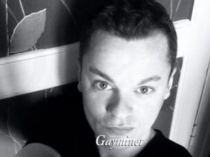 Gayminet