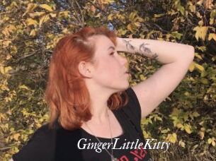 GingerLittleKitty