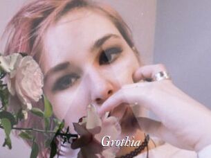 Grothia