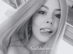 Gallibarbara