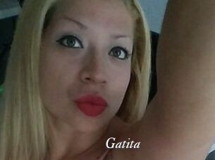 Gatita