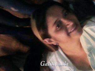 Gatita_mala