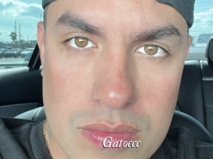 Gatoccc