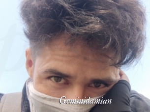 Geminidamian