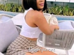 Gingerspice202