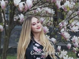 Goldhairflower