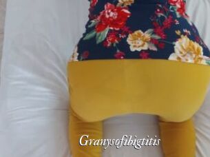 Granysofibigtitis