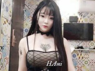 HAmi