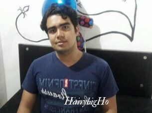 HairybigHo