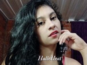 HalleHeat Partouze