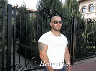 Hard20Cock