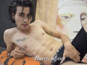 Harrys_bigstick Partouze