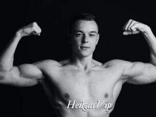 HeilgarVip