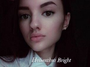 Helianthus_Bright