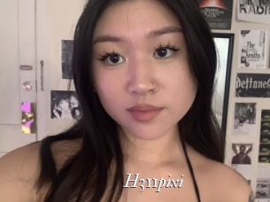 H311pixi