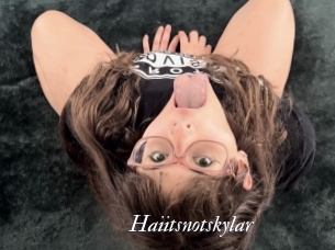 Haiitsnotskylar