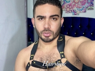 hairyboyx Partouze