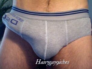 Hairygay9iches