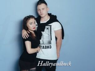 Halleyandbuck