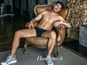 Hamermusk