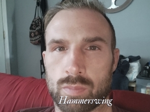 hammerswing Partouze