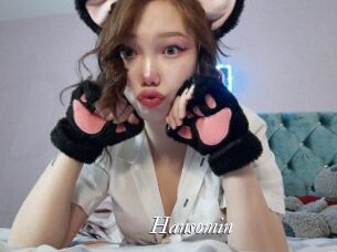 Hansomin