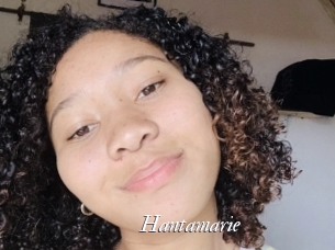 Hantamarie
