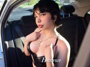 Harirose