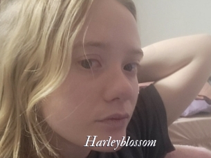 Harleyblossom