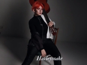 Harleysnake