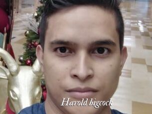 Harold_bigcock