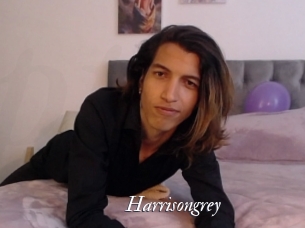 Harrisongrey
