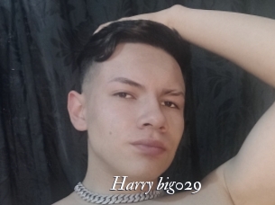 Harry_big029