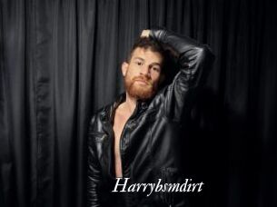 Harrybsmdirt