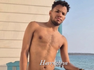 Harrylebron