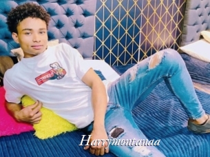 Harrymontanaa