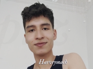 harveymach Partouze