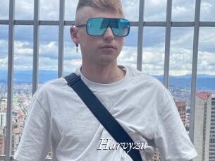 Harvyzu
