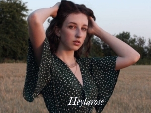Heylarose