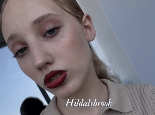 Hildalsbrook
